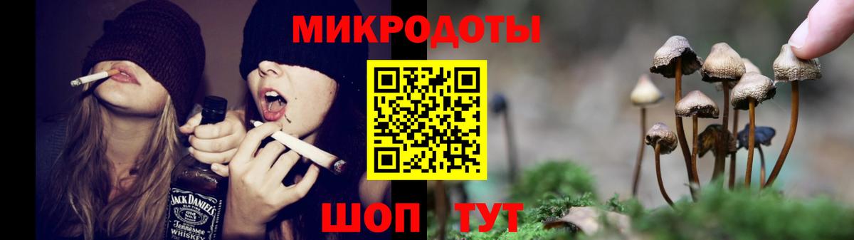 Сланцы  Псилоцибиновые грибы MAGIC MUSHROOMS  Вход с VPN  купить наркотики сайты  Галлюциногенные грибы прущие грибы 