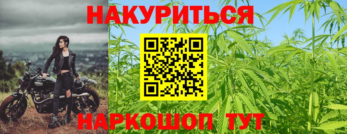 МАРИХУАНА планчик Сланцы
